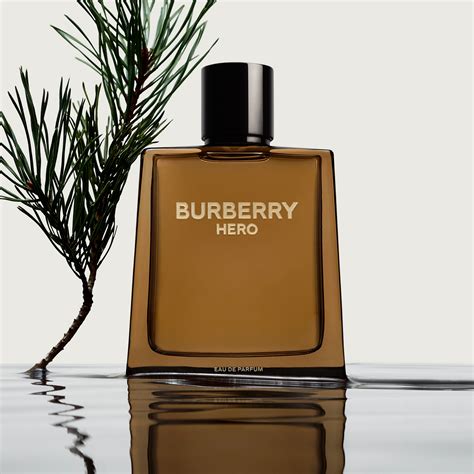 burberry fragrance men's|burberry eau de toilette men.